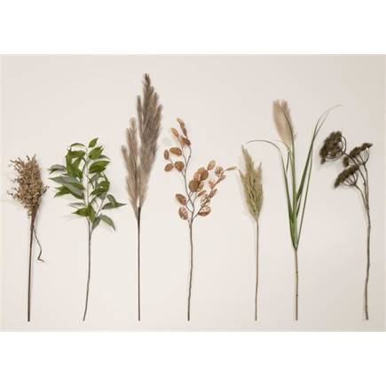 Coco Maison Pampus Grass kunstbloem H120cm